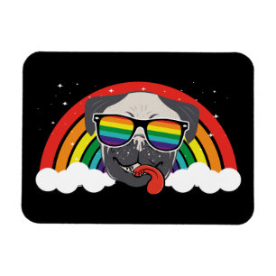 Magnet Flexible Carlin arc-en-ciel mignon