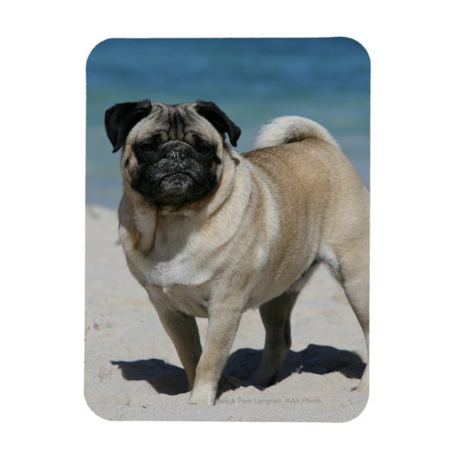 Magnet Flexible Carlin de la plage (Vertical)