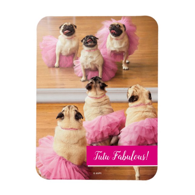 Magnet Flexible Carlins Ballerina En Tutus (Vertical)