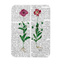 Carnation italienne 3