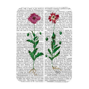 Magnet Flexible Carnation italienne 3