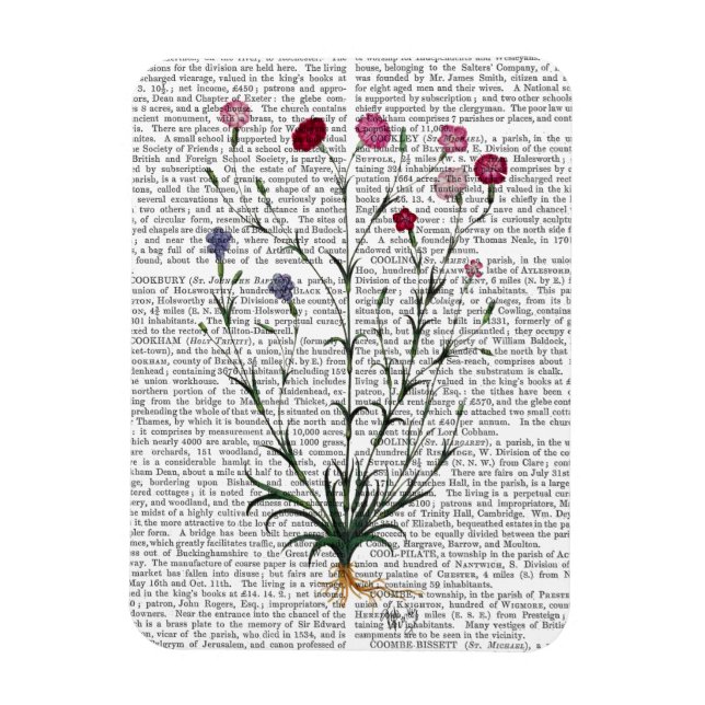 Magnet Flexible Carnation italienne 5 (Vertical)