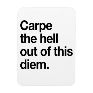 Magnet Flexible Carpe the Hell Out of this Diem