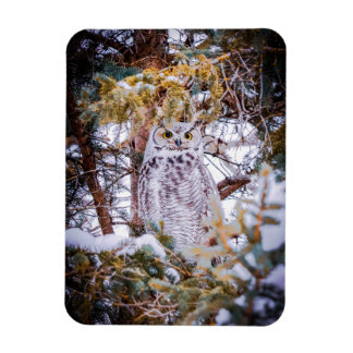 Magnet Flexible Carte Chouette
