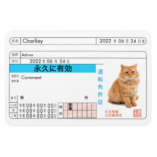 Magnet Flexible Carte de permis de conduire japonaise personnalisé