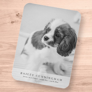 Magnet Flexible Carte photo vertical simple moderne