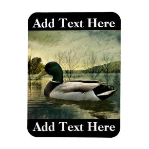 Magnet Flexible Carte postale Patinée vintage Mallard Duck