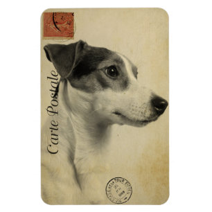 Magnet Flexible Carte postale vintage Jack Russell