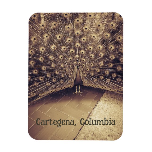 Magnet Flexible Carthagène (Colombie) (Vertical)