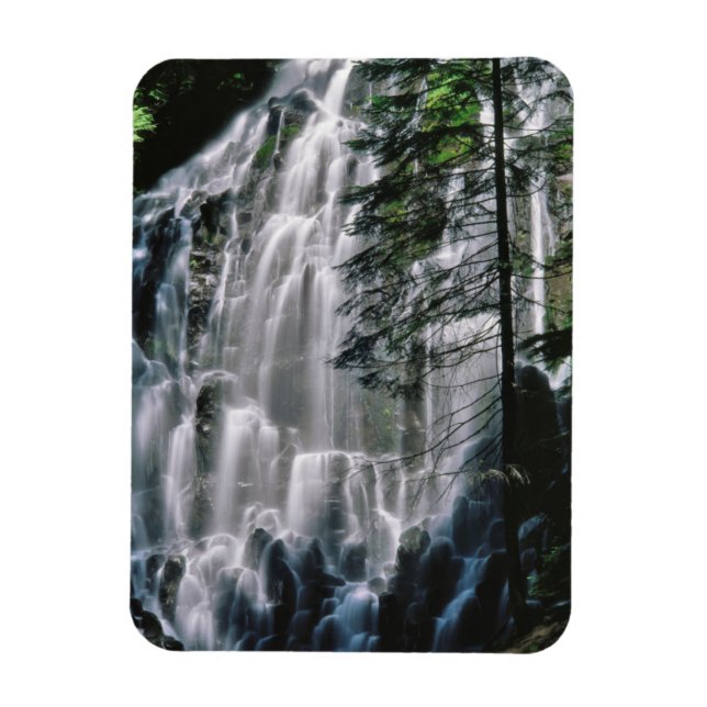 Magnet Flexible Cascade en forêt, Oregon (Vertical)