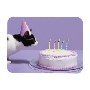 Magnet Flexible Casquette de port d'anniversaire de chat soufflant