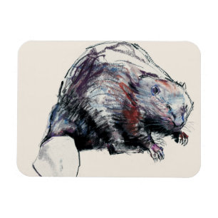 Magnet Flexible Castor Fibre 2001