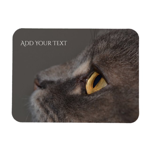 Magnet Flexible Cat Eye-Macro par Shirley Taylor (Horizontal)