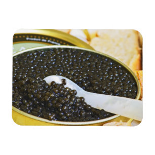 Magnet Flexible Caviar noir et cuillère en nacre pour