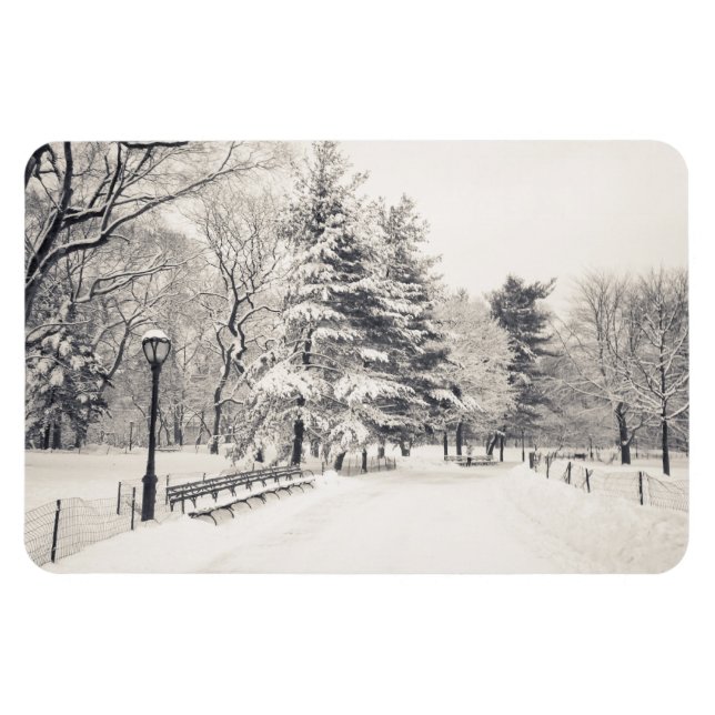 Magnet Flexible Central Park Winter Path - New York City (Horizontal)