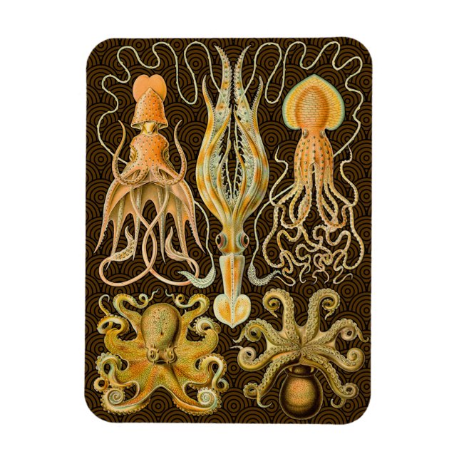 Magnet Flexible Cephalopod poulpe calmar Nature marine (Vertical)