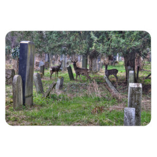 Magnet Flexible Cerf À Zentralfriedhof