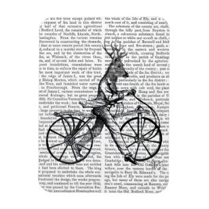 Magnet Flexible Cerfs communs élégants sur la bicyclette vintage