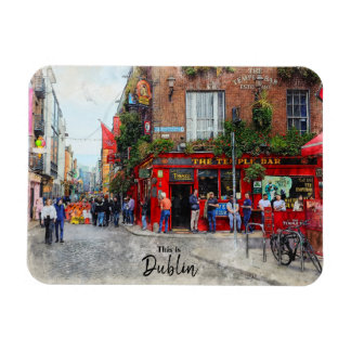 Magnet Flexible C'est Dublin-Irlande