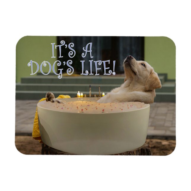 Magnet Flexible C'est un aimant pour la vie des chiens (Horizontal)