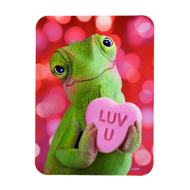 Magnet Flexible Chameleon Heart (Luv U) (Vertical)
