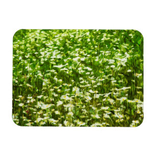 Magnet Flexible Champ de marguerites Oxeye Impressionnisme Abstrai