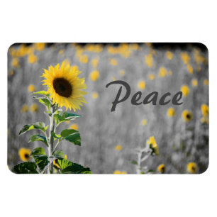 Magnet Flexible Champ de tournesols, Noir & Blanc, Paix