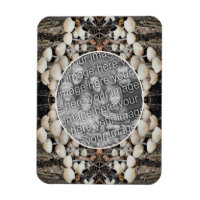 Champignons sauvages Cadre naturel Ajouter votre p