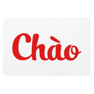 Magnet Flexible Chào / Hello ~ Vietnam / Vietnamien / Tiêt Viêt