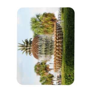 Magnet Flexible Charleston SC Pineapple Fountain, Waterfront Park