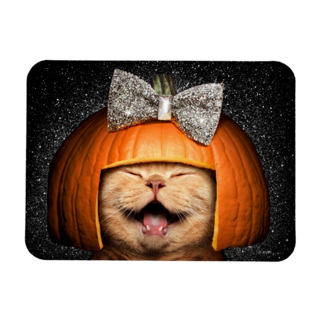 Magnet Flexible Chat Avec Cheveux Citrouilles (Horizontal)