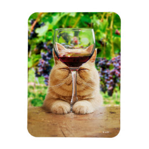 Magnet Flexible Chat avec verre de vin