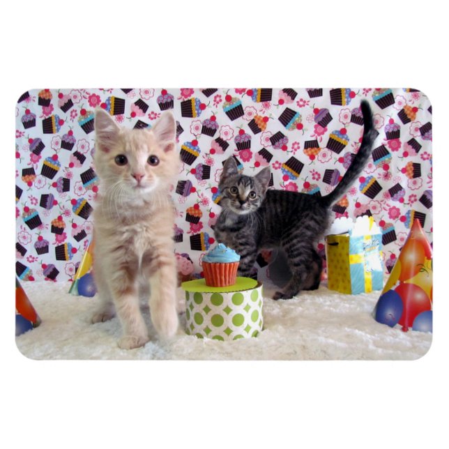 Magnet Flexible Chat d'anniversaire de Buffington et Patton / Kitt (Horizontal)