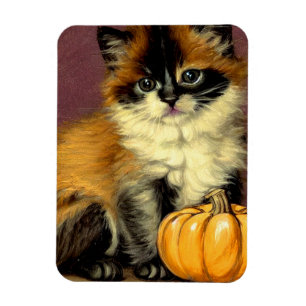 Magnet Flexible Chat d'Halloween Ragdoll vintage