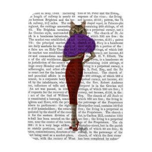 Magnet Flexible Chat En Robe Rouge