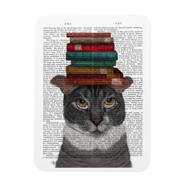 Magnet Flexible Chat gris avec des livres sur la tête (Vertical)