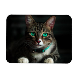 Magnet Flexible Chat gris et blanc avec yeux bleus et collier corr