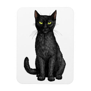 Magnet Flexible chat noir