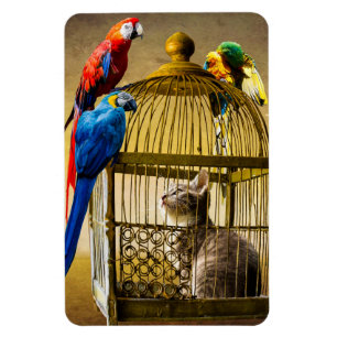 Magnet Flexible Chat & Oiseaux