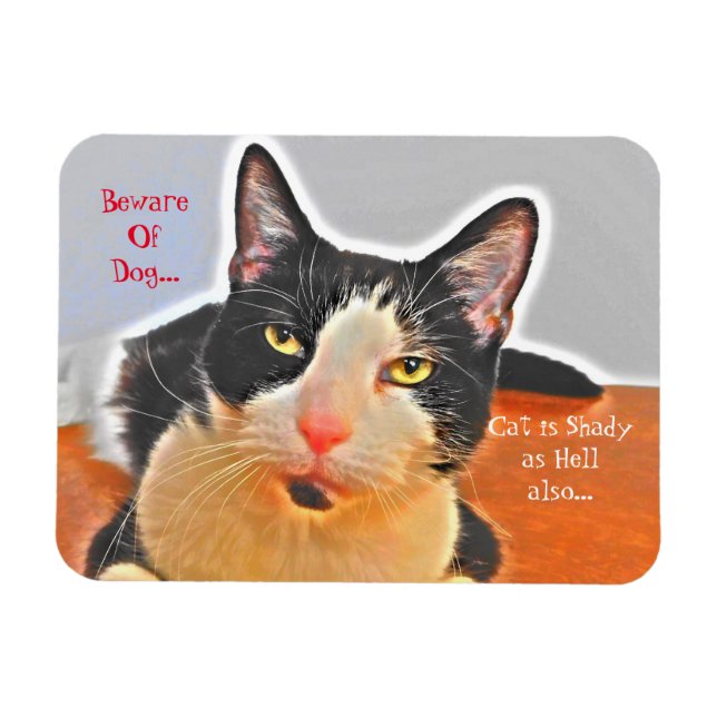 Magnet Flexible Chat Shady Tuxedo (Horizontal)