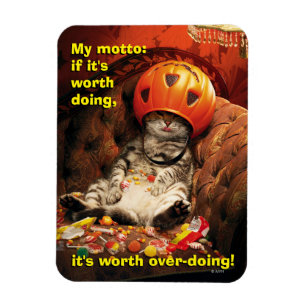 Magnet Flexible Chat sous le seau bonbon