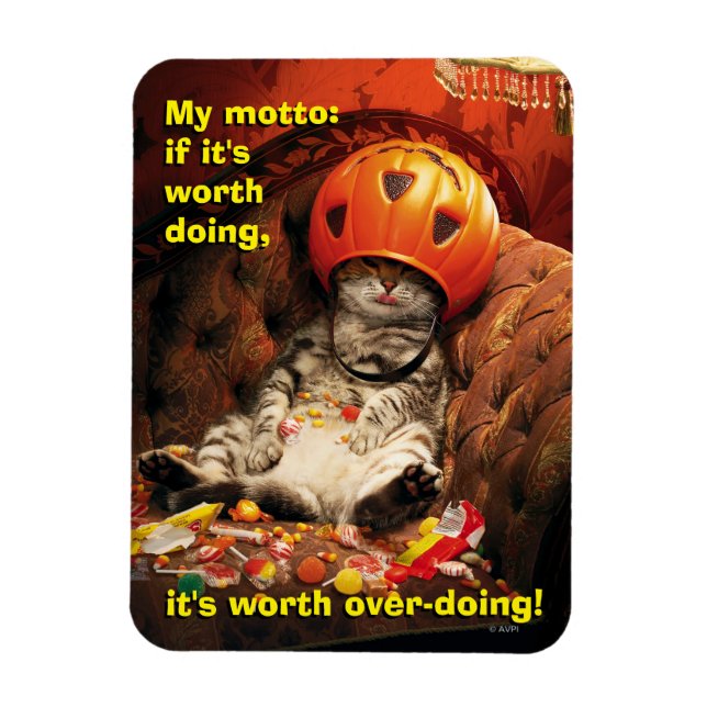 Magnet Flexible Chat sous le seau bonbon (Vertical)