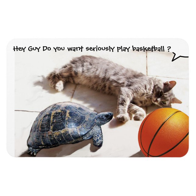 MAGNET FLEXIBLE CHAT, TORTUE ET BASKETBALL (Horizontal)