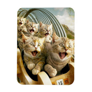 Magnet Flexible Chats dans le parc d'attractions.