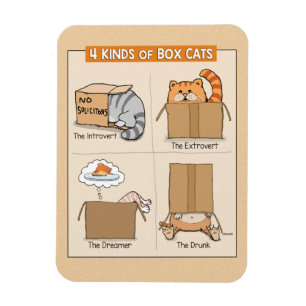 Magnet Flexible Chats mignons et amusants en boîtes