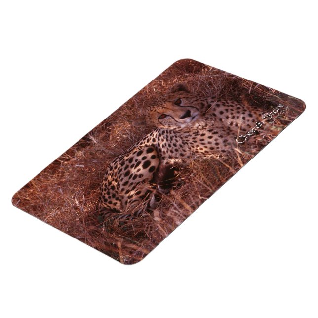 Magnet Flexible Cheetah Stare (Côté Gauche)