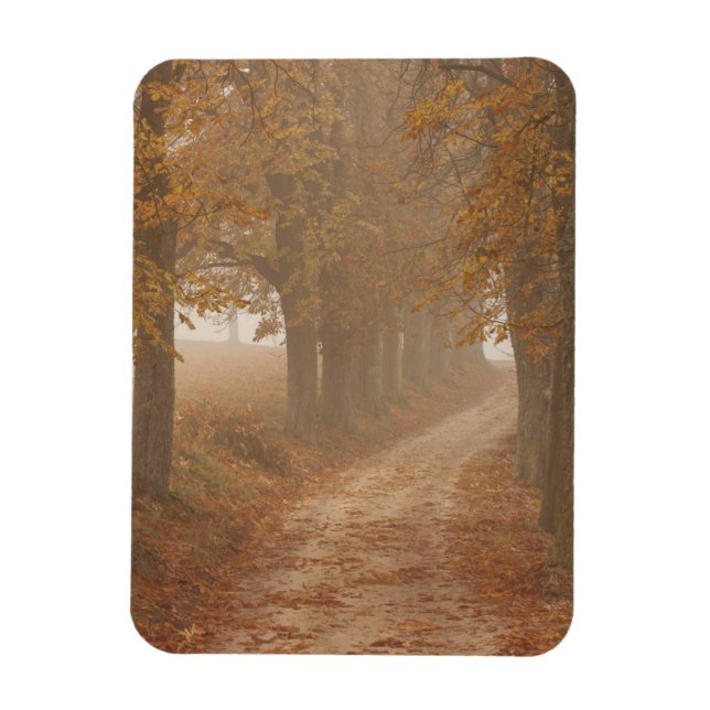Magnet Flexible Chemin boisé bordé par des arbres d'automne Photo (Vertical)