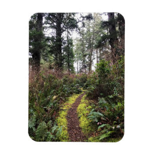 Magnet Flexible Chemin de la boucle de la forêt côtière, Cape Disn