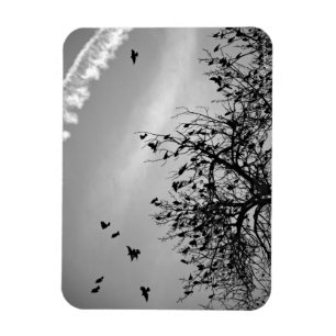 Magnet Flexible Chemin de vol
