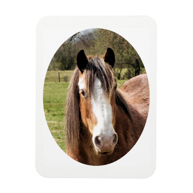 MAGNET FLEXIBLE CHEVAL (Vertical)